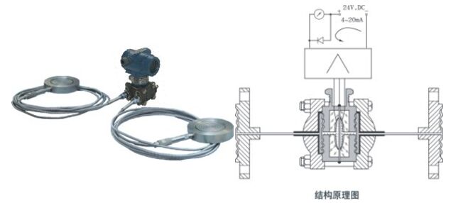 1629886311386557.jpg 11.jpg